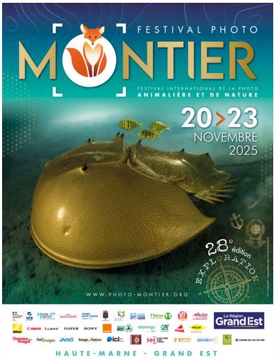 Festival Photo Montier en Der